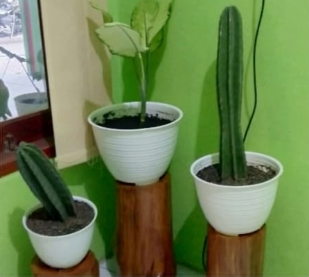 PENDOPO KECAMATAN